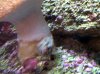 IMG00003-20100305-2037.jpg