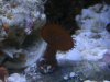 DSCF2050.jpg
