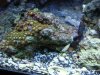 DSC03666.JPG