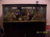 Picture 002.jpg