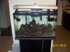 Picture 003.jpg