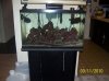 Picture 004.jpg