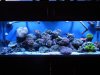 DSC03184.jpg
