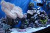 DSC03215.jpg
