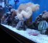 DSC03216.jpg