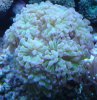 DSC03223.jpg