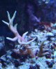 DSC03139.JPG