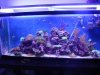 DSC02556.JPG