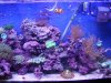 DSC02557.JPG
