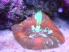 DSC02560.JPG