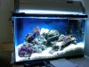 IMG00105-20100316-1348.jpg