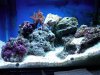 IMG00107-20100316-1348.jpg
