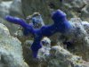 2010-03-16 16.47.19.jpg