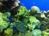 IMG_0149.jpg