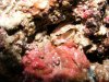 DSCF2078.jpg