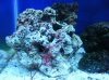 DSCF2083.jpg