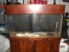 DSCN4525.jpg