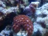 DSC02273.jpg
