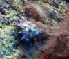 DSC00485.jpg