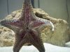 100_0420.jpg