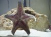 100_0418.jpg