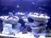 tankpic2.jpg