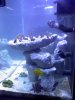 tankpic3.jpg