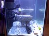 tankpic4.jpg