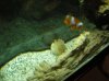DSCN4050.jpg
