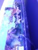 DSC02581_adjusted.jpg