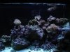 DSC04811.JPG