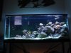 DSC04812.JPG