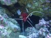 DSC04820.JPG