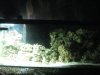 03-28-10 011.jpg