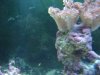 DSC04835.jpg
