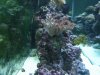 DSC04836.jpg