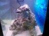 100_0489.jpg