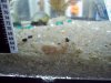 100_0422.jpg