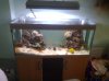 29032010142.jpg