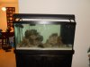 DSCN0407.JPG