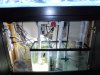 DSCN0409.JPG
