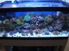 40 gal.jpg