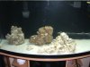CIMG4208 46 wth Sand.jpg