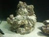 CIMG4213 Rock 2a.jpg
