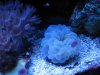 Tank 3-28-10 057.jpg