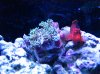Tank 3-28-10 056.jpg