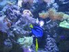reef 2.jpg