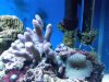IMG00111-20100402-1251.jpg