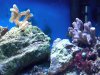 IMG00112-20100402-1251.jpg