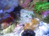 Apr022010_0173.jpg